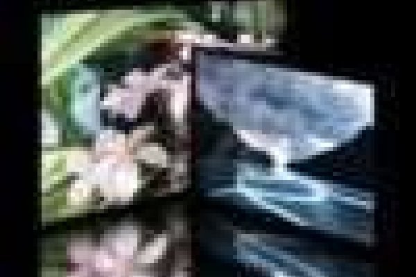 Converseen - Image Conversion Tool For Linux and Windows