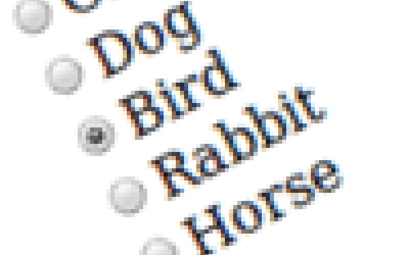 Getting to grips with PHP Radio Buttons