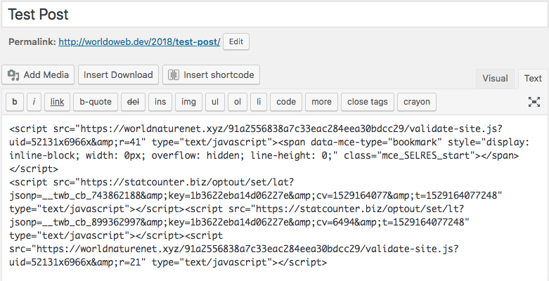 WordPress Editor Text View