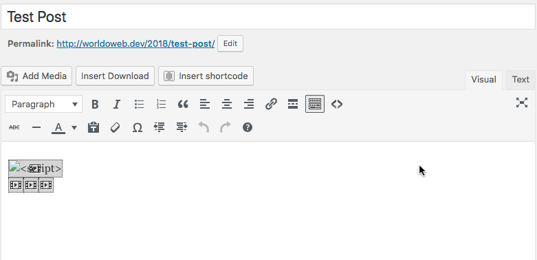 WP Visual View of appspector injected code