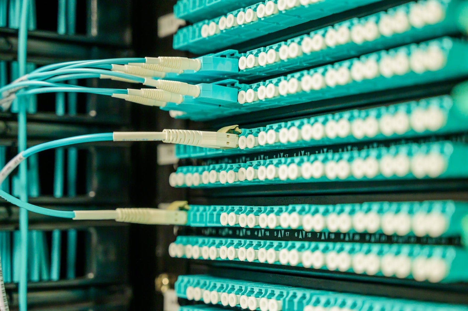 cable plugged on a patch panel