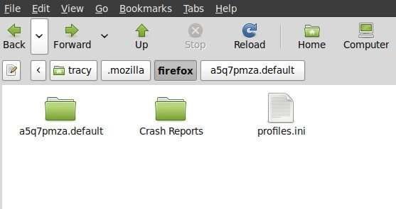The Linux Mint Firefox directory.