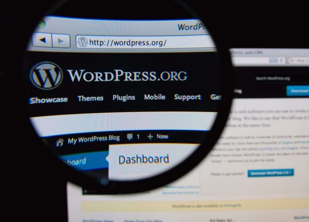 WordPress Website Image